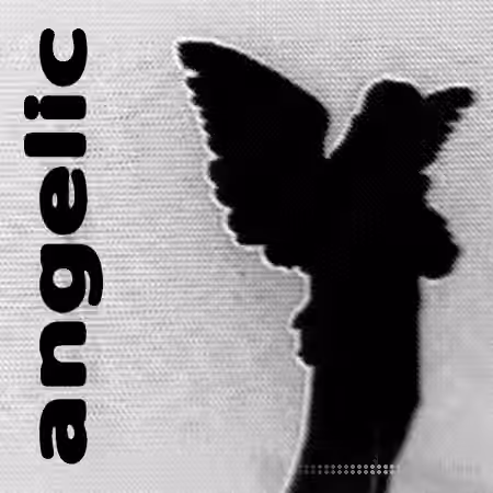 Sapjer Angelic Drumkit [WAV] - Sample Pack Artwork