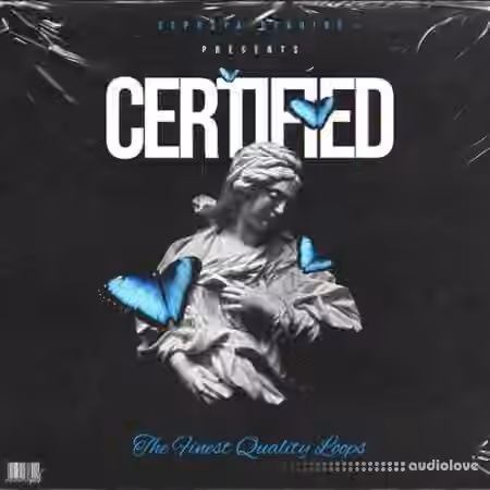 Sephxya Studios Certified [WAV] - Sample Pack Artwork