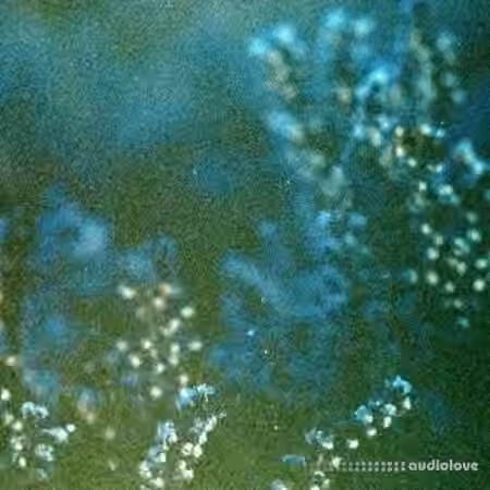 shameless. Distorted Ambience Sample Pack Vol.4 [WAV, Synth Presets] - Sample Pack Artwork