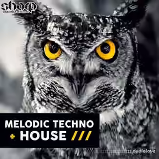 SHARP Melodic Techno and House [WAV, MiDi]
