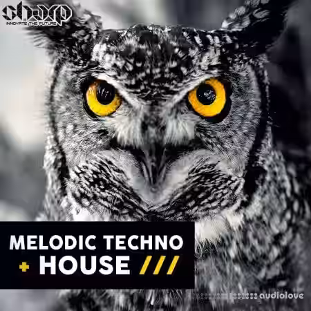 SHARP Melodic Techno and House [WAV, MiDi] - Sample Pack Artwork