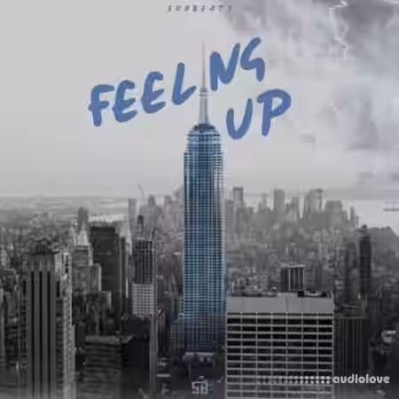 Shobeats Feeling Up [WAV, MiDi, Synth Presets] - Sample Pack Artwork