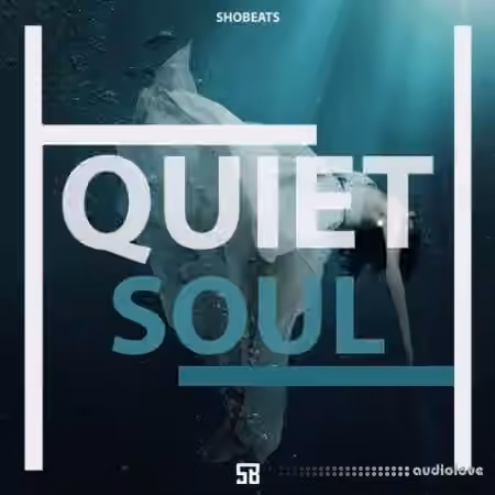 Shobeats Quiet Soul [WAV, MiDi, Synth Presets] - Sample Pack Artwork