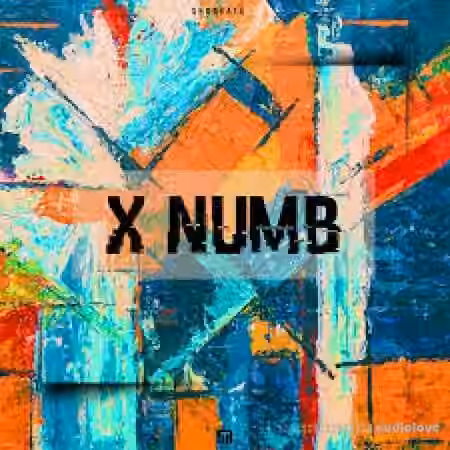Shobeats X Numb [WAV, MiDi, Synth Presets] - Sample Pack Artwork