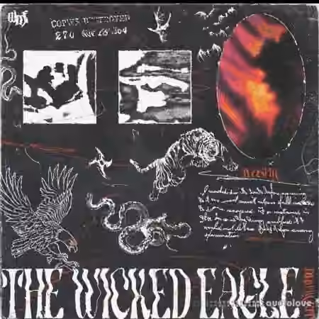 Sim The Wicked Eagle Kit [WAV] - Sample Pack Artwork