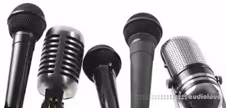 SkillShare Celebrity Level Voice Lessons 101 Beginner Level with Ashley Mandel [TUTORiAL] - Sample Pack Artwork