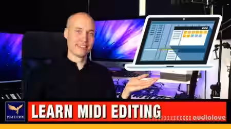SkillShare Learn MIDI Editing for Music Production [TUTORiAL] - Sample Pack Artwork