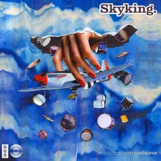 Skyking Drums 005 [WAV]