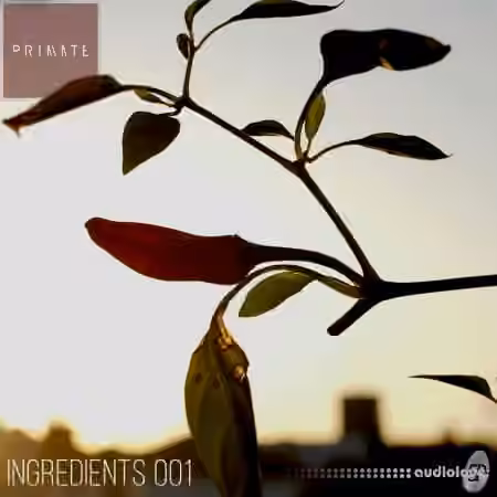 SmallPrint Ingredients 001 Primate [WAV] - Sample Pack Artwork