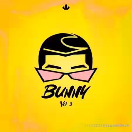 SMEMO Sounds BUNNY Vol 3 [WAV, MiDi] - Sample Pack Artwork