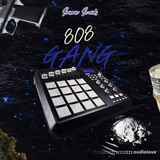 SMEMO Sounds Smemo 808 Gang [WAV, MiDi]