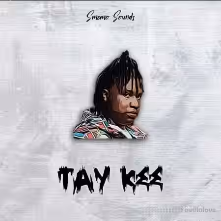 SMEMO Sounds Tay Kee [WAV, MiDi] - Sample Pack Artwork