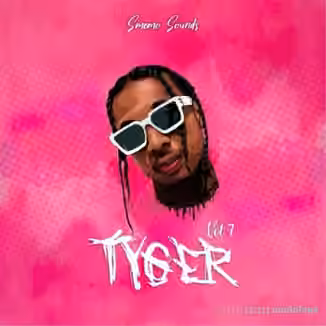 SMEMO Sounds Tyger Vol 7 [WAV, MiDi]