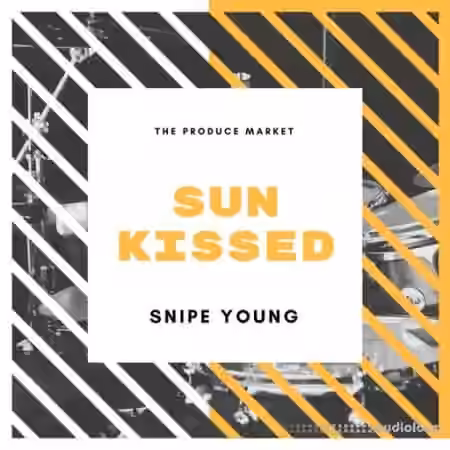 Snipe Young SunKissed [WAV] - Sample Pack Artwork