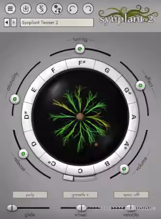 Sonic Charge Synplant 2 v2.0.1 [WiN] - Sample Pack Artwork