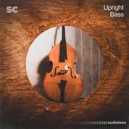 Sonic Collective Upright Bass [WAV] - Sample Pack Artwork
