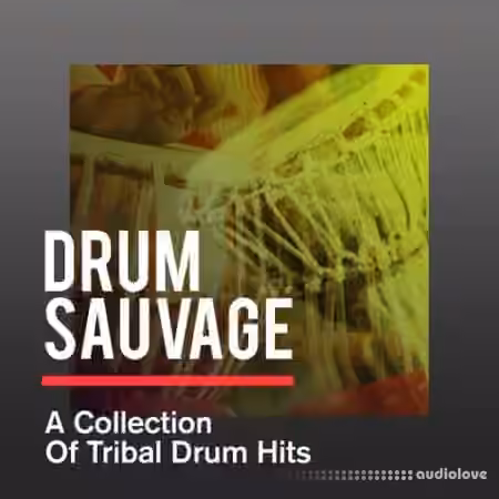 Sonicycle Sonicycle - Drum Sauvage - A Collection Of Tribal Drum Hits [WAV] - Sample Pack Artwork