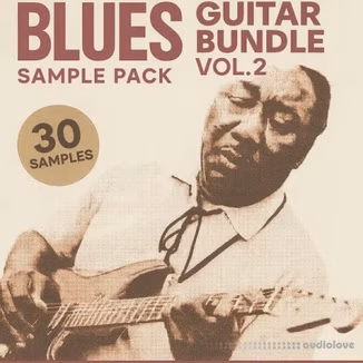 Soul Chemist Blues Guitar Bundle Vol.2 [WAV]