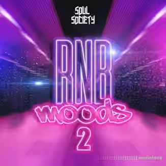 Soul Society RnB Moods 2 [WAV]