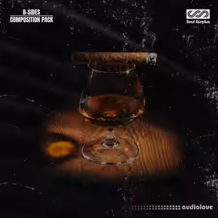 Soul Surplus B-Sides (Compositions and Stems) [WAV] - Sample Pack Artwork