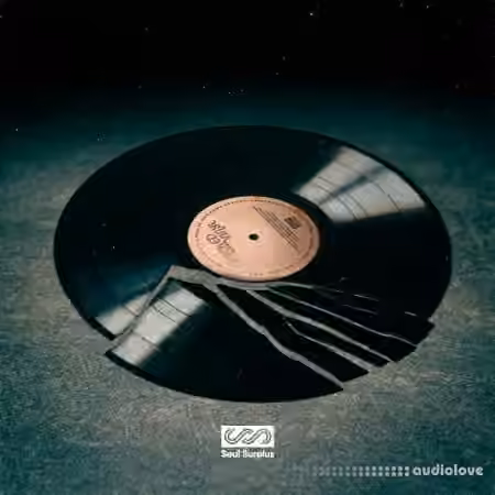 Soul Surplus Broken Vinyl [WAV] - Sample Pack Artwork