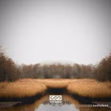Soul Surplus Deep Marsh (Drum Kit) [WAV] - Sample Pack Artwork
