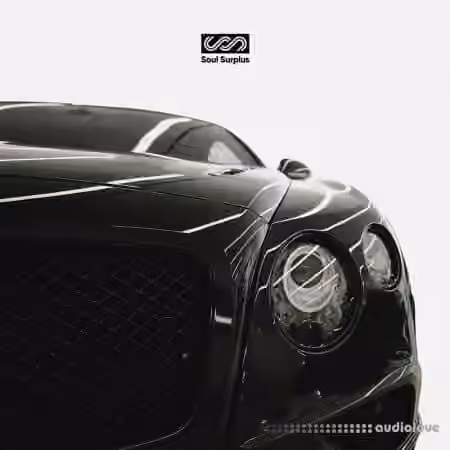 Soul Surplus Dynasty Classic Hip Hop [WAV] - Sample Pack Artwork