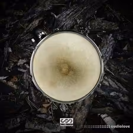 Soul Surplus Kadence [WAV, Synth Presets] - Sample Pack Artwork
