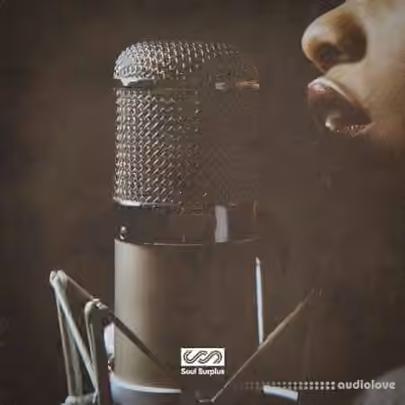 Soul Surplus Live Room - Organic Soul [WAV] - Sample Pack Artwork