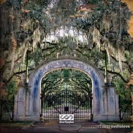 Soul Surplus Mason Dixon [WAV] - Sample Pack Artwork