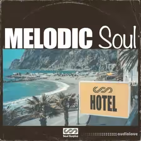 Soul Surplus Melodic Soul [WAV, Synth Presets] - Sample Pack Artwork