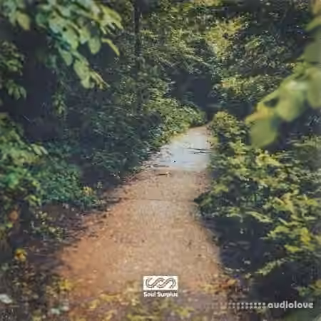 Soul Surplus Oak Lane [WAV] - Sample Pack Artwork