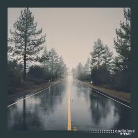 Soul Surplus Roady Pack (Compositions) [WAV] - Sample Pack Artwork