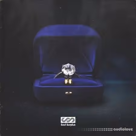 Soul Surplus Sentimental [WAV] - Sample Pack Artwork