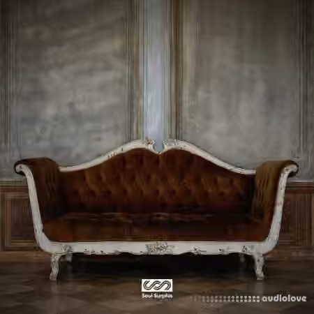 Soul Surplus Soul Era (Compositions And Stems) [WAV] - Sample Pack Artwork