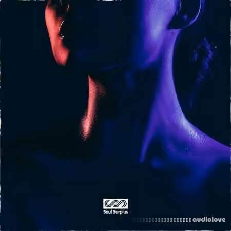 Soul Surplus Soul Seeking Warm Soul [WAV] - Sample Pack Artwork