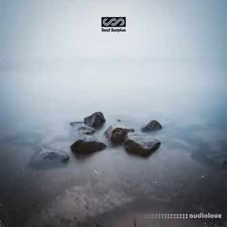 Soul Surplus Stepping Stones [WAV] - Sample Pack Artwork
