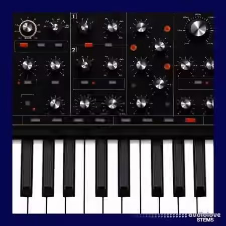 Soul Surplus Synth Pack Vol.2 (Compositions And Stems) [WAV] - Sample Pack Artwork