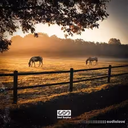 Soul Surplus The Front Porch [WAV] - Sample Pack Artwork