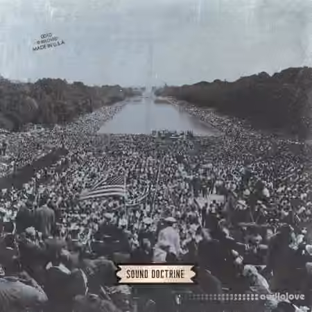 Sound Doctrine Beloved [WAV] - Sample Pack Artwork