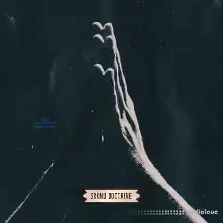 Sound Doctrine The Sectional [WAV] - Sample Pack Artwork