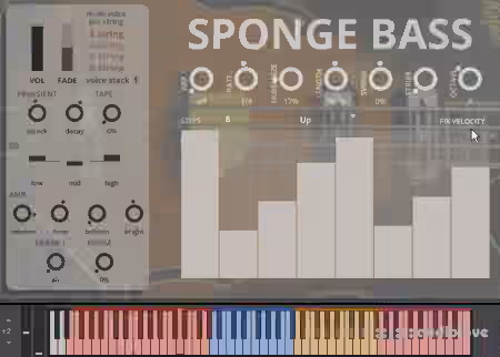Sound Dust Sponge Bass [KONTAKT] - Sample Pack Artwork