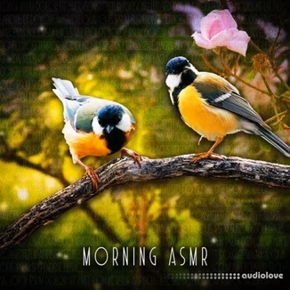 Sound Effects Zone Morning ASMR Sounds Of Birds Chirping [FLAC]