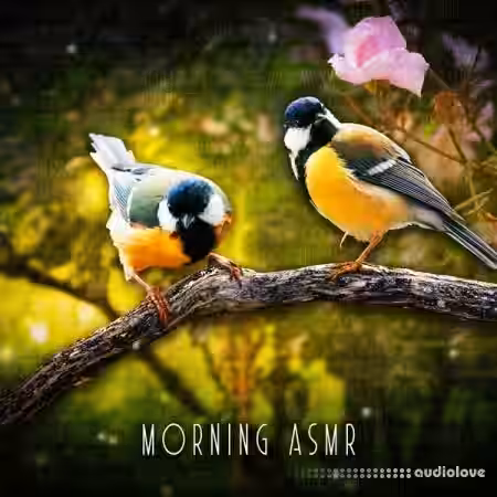 Sound Effects Zone Morning ASMR Sounds Of Birds Chirping [FLAC] - Sample Pack Artwork