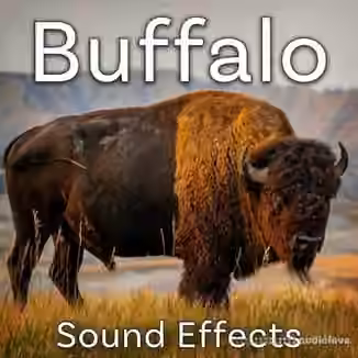 Sound Ideas Buffalo Sound Effects [FLAC]