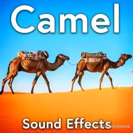 Sound Ideas Camel Sound Effects [FLAC] - Sample Pack Artwork