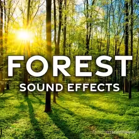 Sound Ideas Forest Sound Effects [FLAC] - Sample Pack Artwork