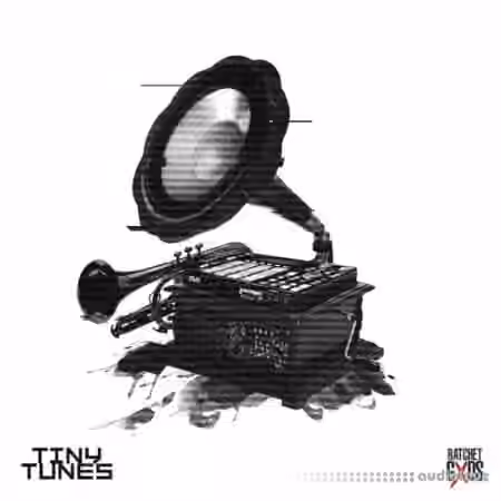 Sound Junkie Bouncegxd Tiny Tunes [WAV] - Sample Pack Artwork