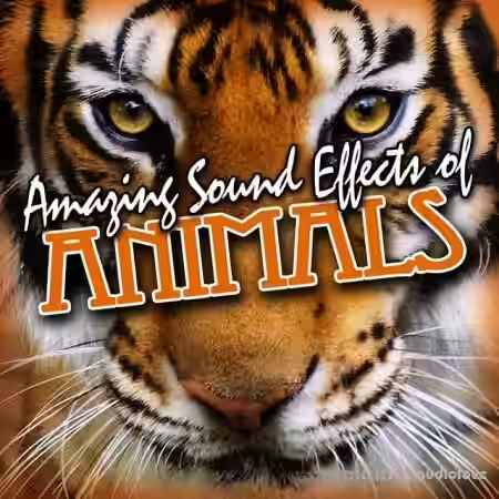 SoundFx Amazing Sound Effects of Animals [FLAC] - Sample Pack Artwork