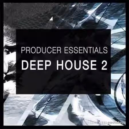 SPF Samplers Producer Essentials Deep House 2 [WAV, Synth Presets] - Sample Pack Artwork